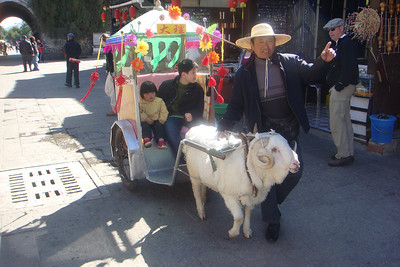 some people taking a ram ride