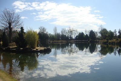 cool cloud reflection