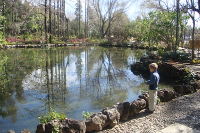 Benji at "lover's lake", not sure what was on his mind