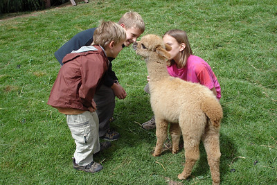 this little one like to put his nose right up to the kids' faces