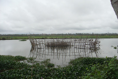 a fish farm