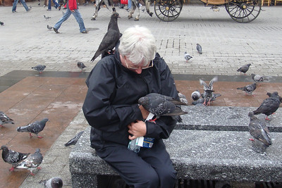 Photo 41