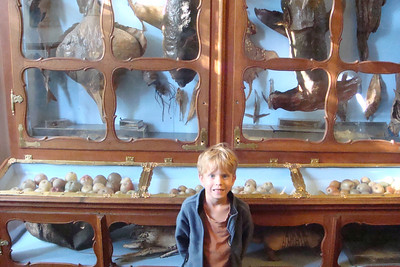 Benji loved the mummified animals