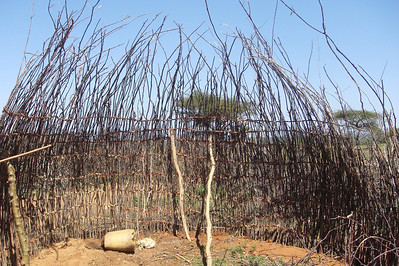 a Samburu house under construction