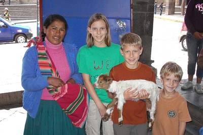 posing with a tiny alpaca