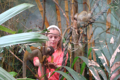 the highlight of Faunia was the monkeys