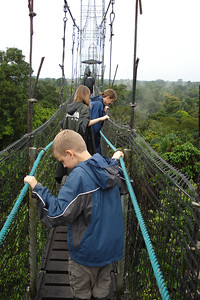 walking across the canopy