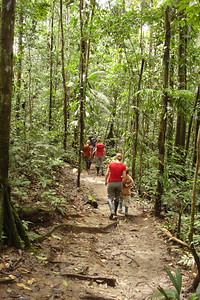 walking back through the much-drier rainforest