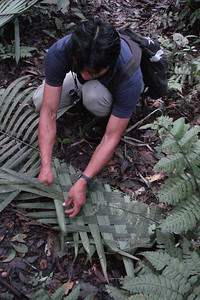 Ivan showed us how the locals make their roofs from huge palm leaves