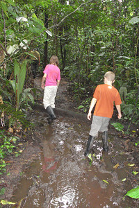 they don't call it the rainforest for no reason