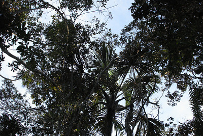 a view looking up from the canoe