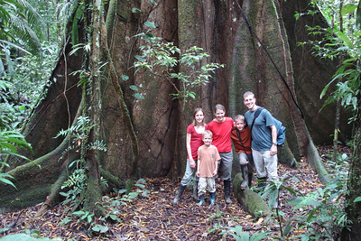 posing in front of a huge kapok tree