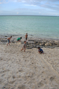 the kids make a road and ramp for the turtles