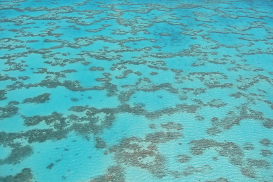 the Heron Island reef from the helicopter
