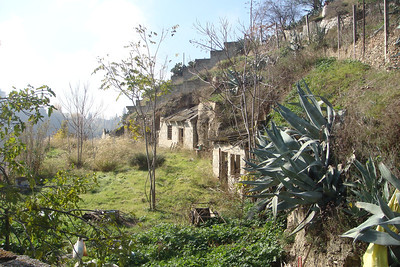 Photo 48