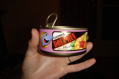we loved our dinner of dolphin chunks