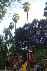 we spotted this playscape on the ride and came right back to it