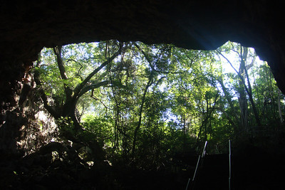 looking out from within a tube