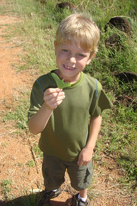 Benji with a leaf from a bat-winged coral tree