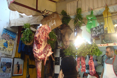 camel meat and head for sale!
