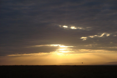 sunrise in the Masai Mara