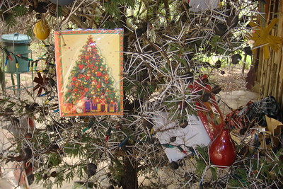 it's beginning to look like an African Christmas