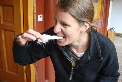 Photo 42