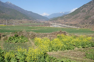 scenes from a walk through another Naxi village