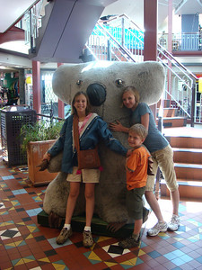 giant koala hug