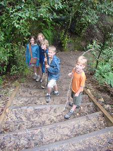we did a little hiking through the Blue Mountains and saw...