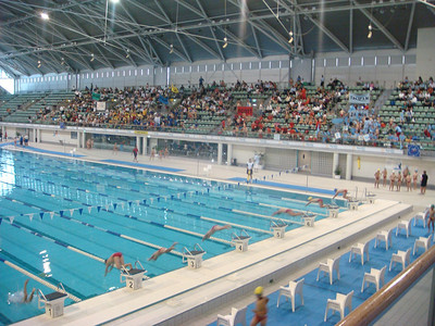 the start of 8-year-old 50 meter freestyle at the swim carnival