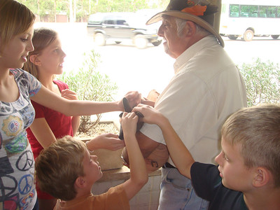 the kids got to pet a baby wallaby