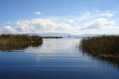 some views of the lake