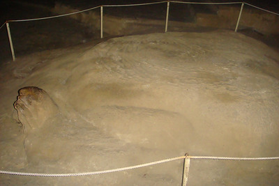 the "turtle" on the cave floor