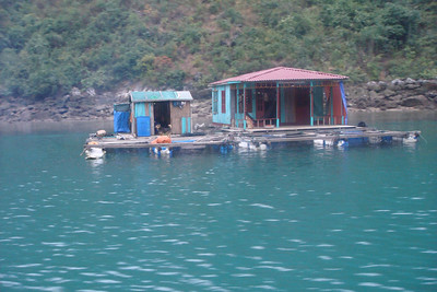 a floating fishing village on Halong Bay
