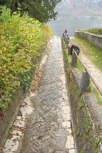leaf racing in the creek