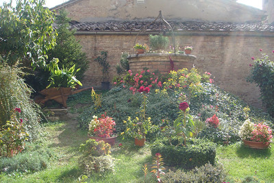Photo 43