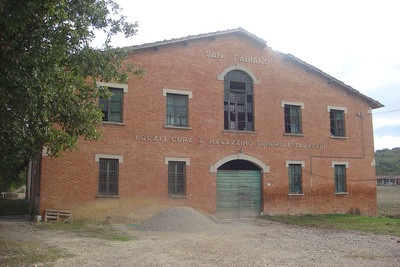 the abandoned tobacco plant