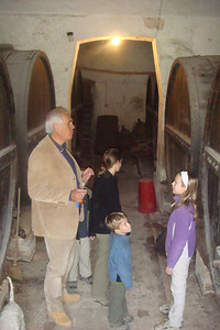 admiring the old wine kegs