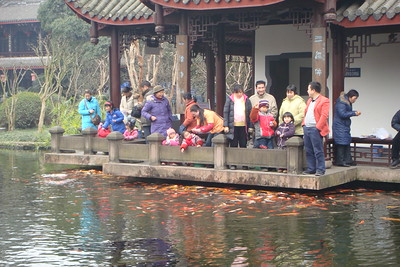 feeding fish in Chengdu's People's Park