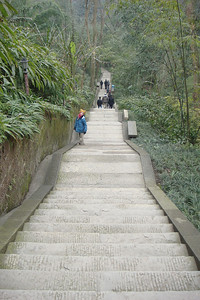 descending the hill from the Buddha...