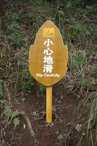 if you're going to slip, slip carefully