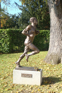 Photo 33