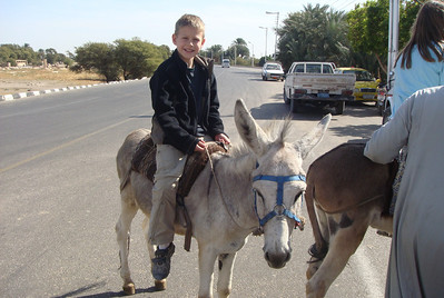 time for a donkey ride