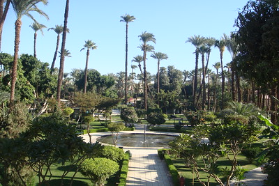 the garden at the Old Winter Palace hotel in Luxor