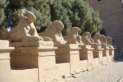 ram/lion combo animals protecting the entrance to the temple of Karnak