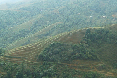 terraced fields on the mountainside