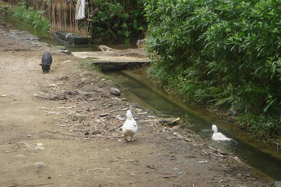 the cement canal is built by the government to supply fresh water from the mountains to the village