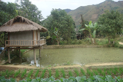 a fish farm