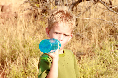 it was hot on North Seymour